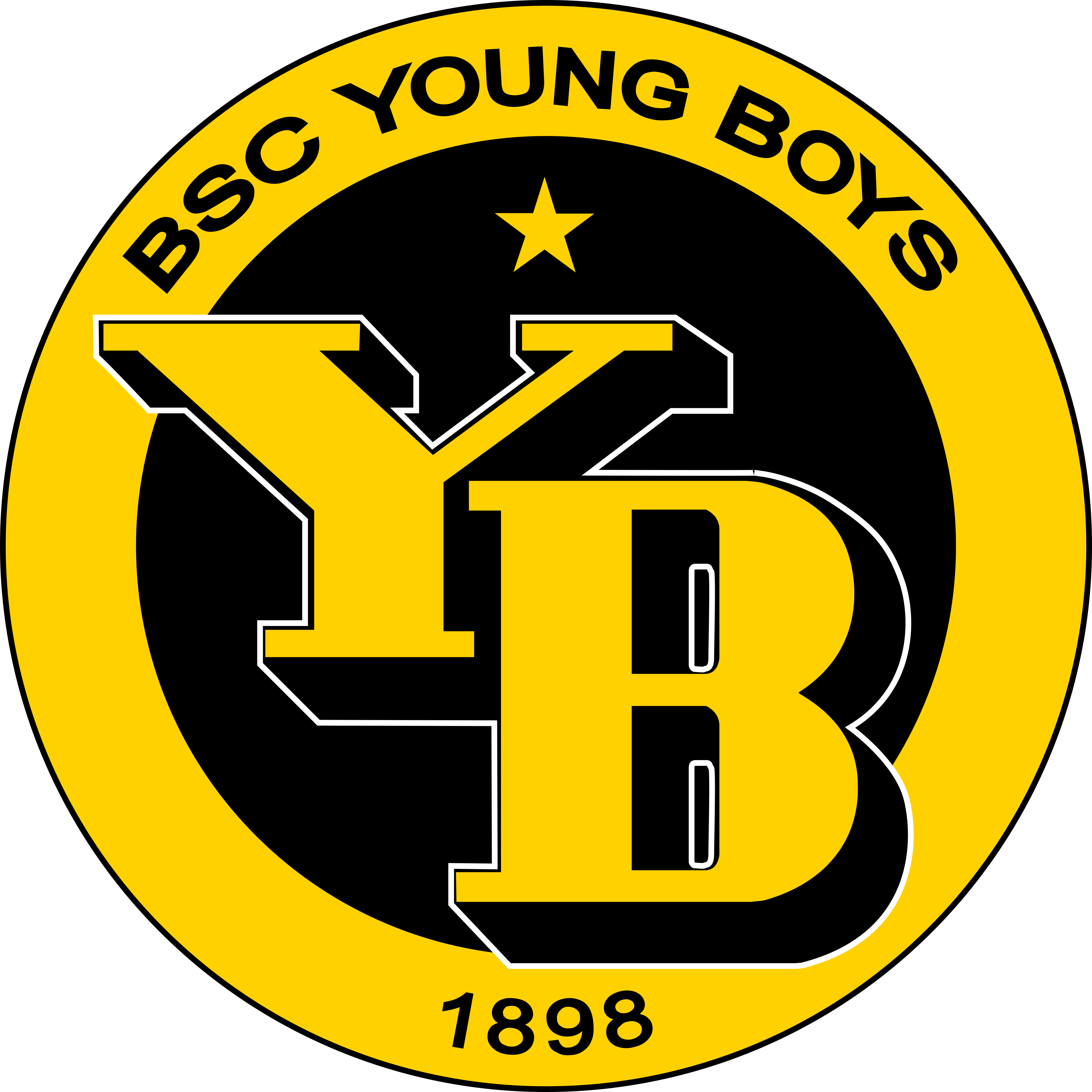 BSC Young Boys Logo.