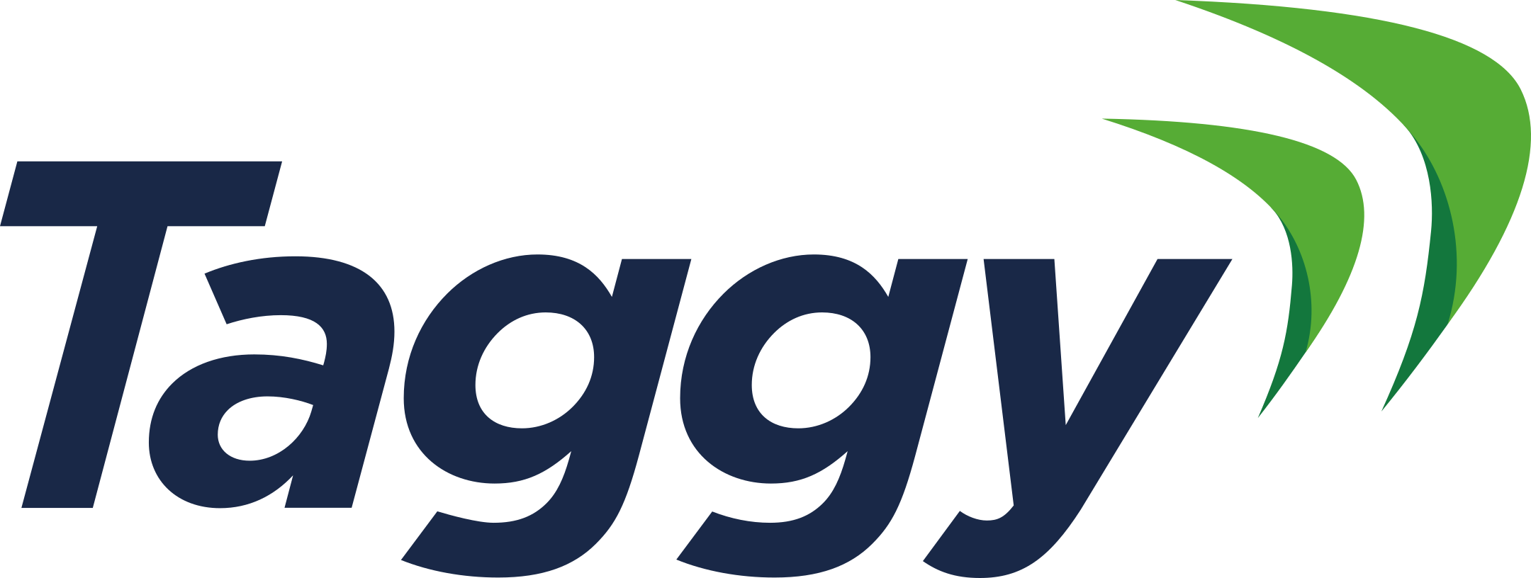 taggy logo 1 - Taggy Logo