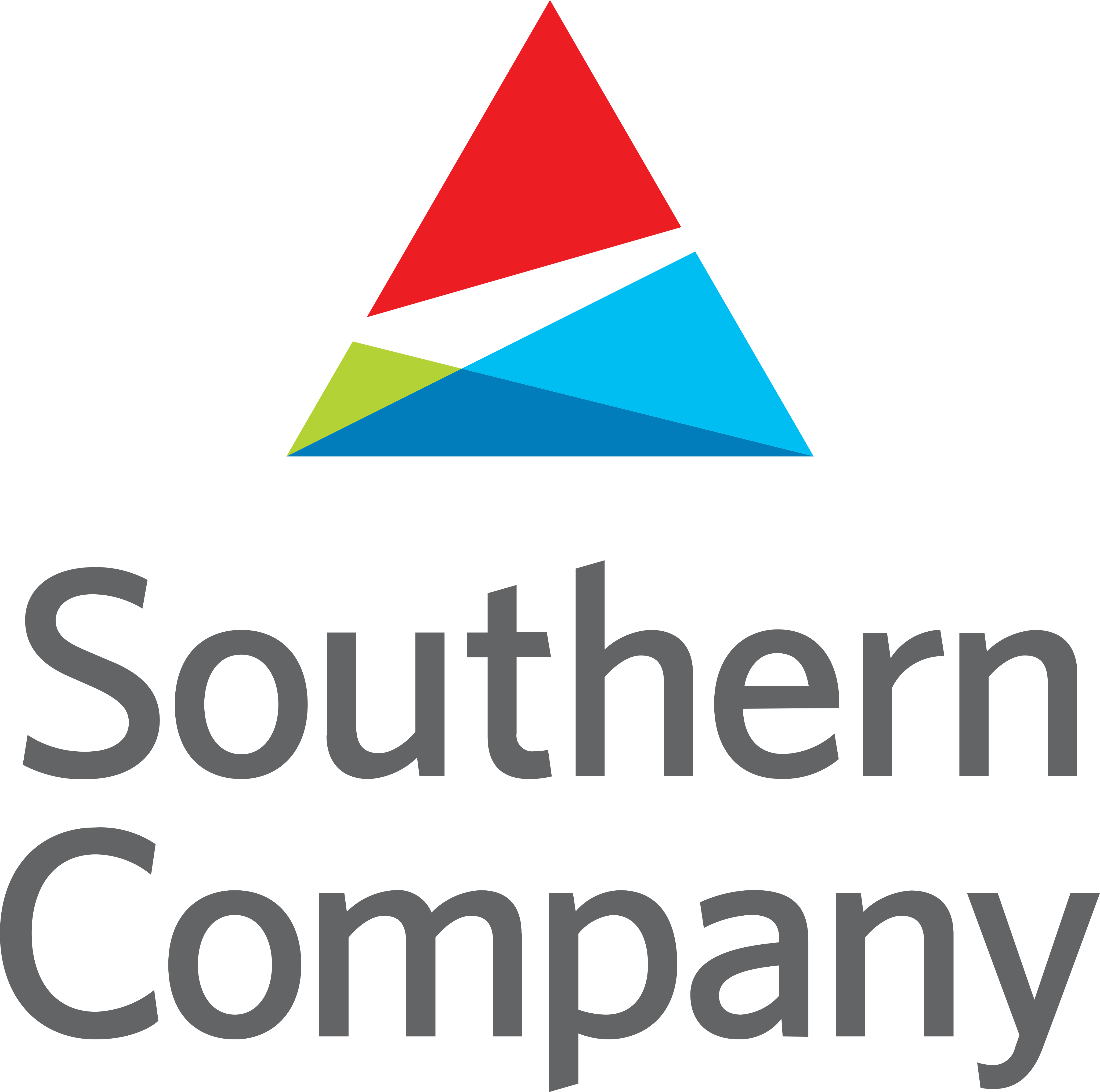 Southern Company Logo.