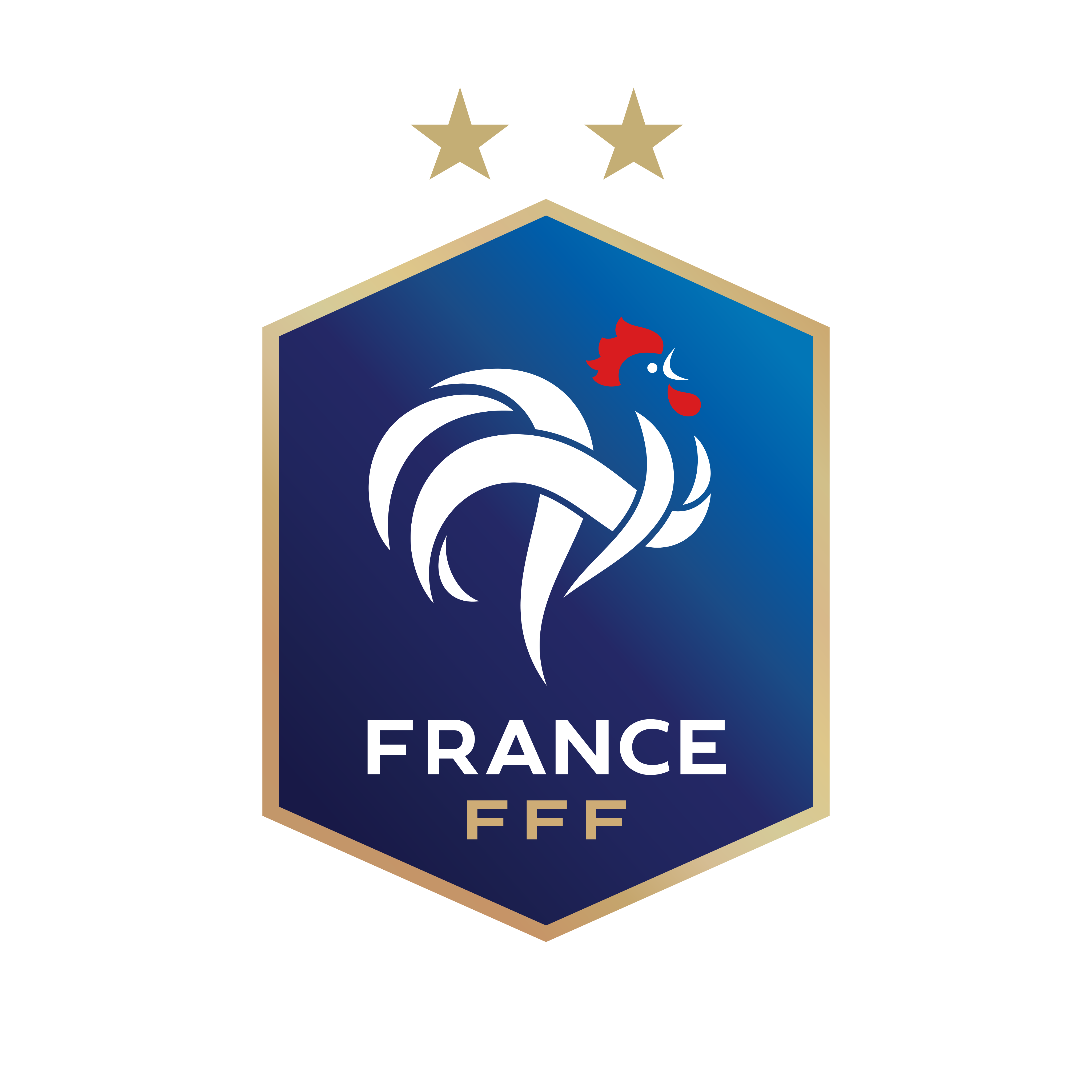 france national football team logo 0 - France National Football Team Logo