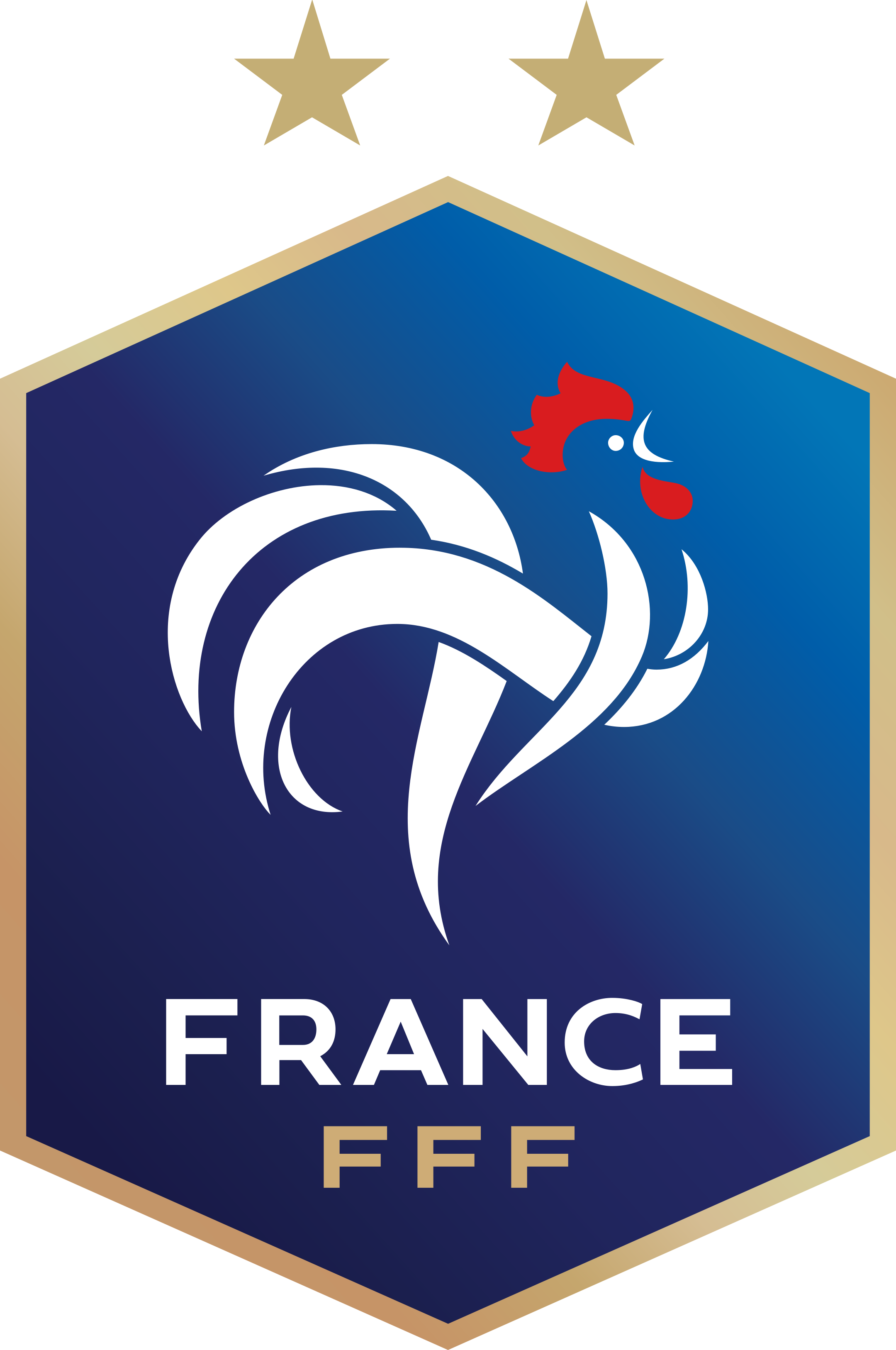 france national football team logo 1 - Équipe de France de Football Logo