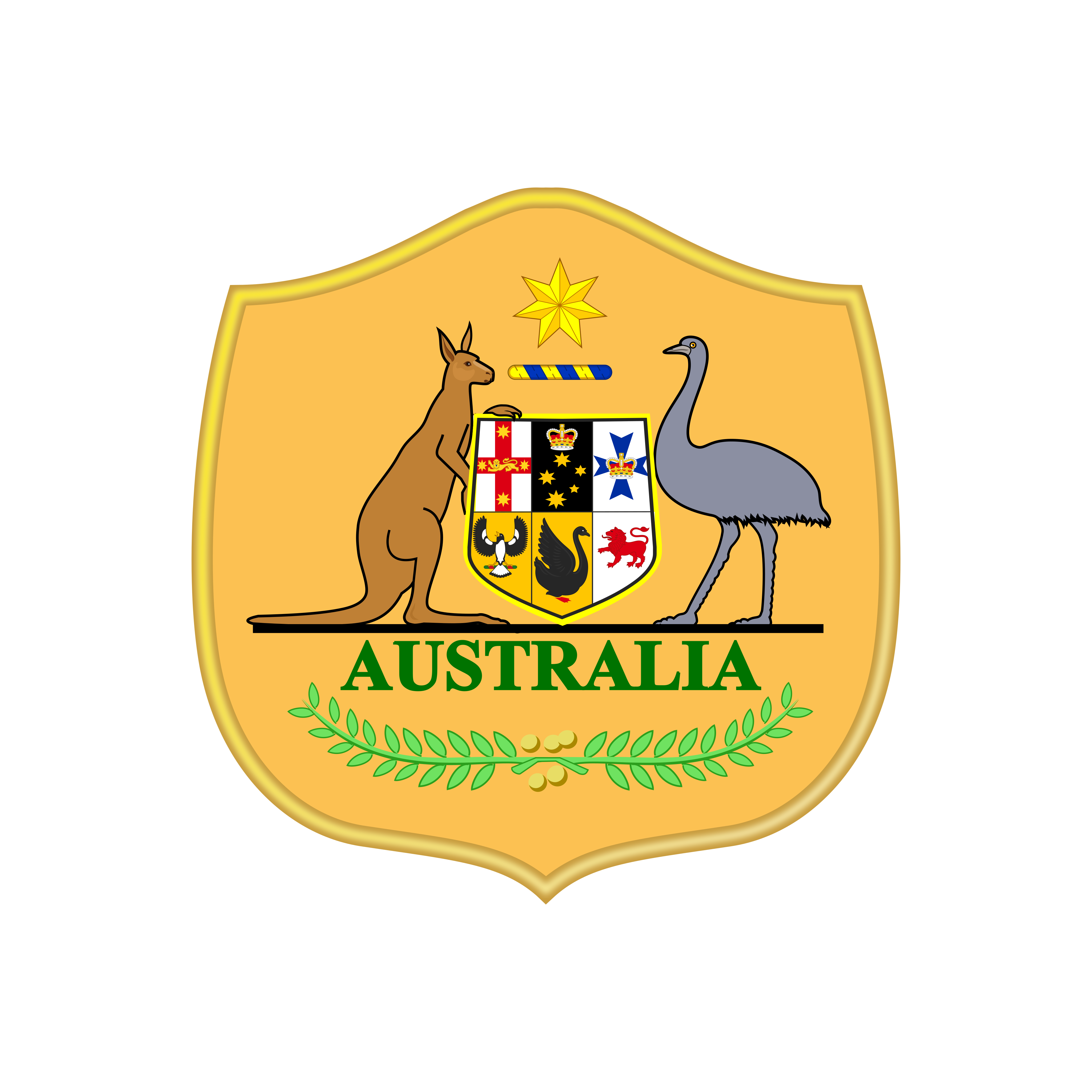 australia national football team logo 0 - Équipe d'Australie de Football Logo