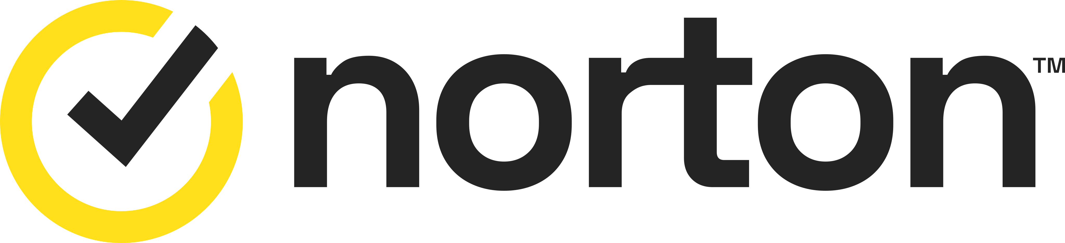 Norton Logo.