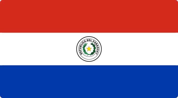 bandeora paraguai flag 3 - Flag of Paraguay