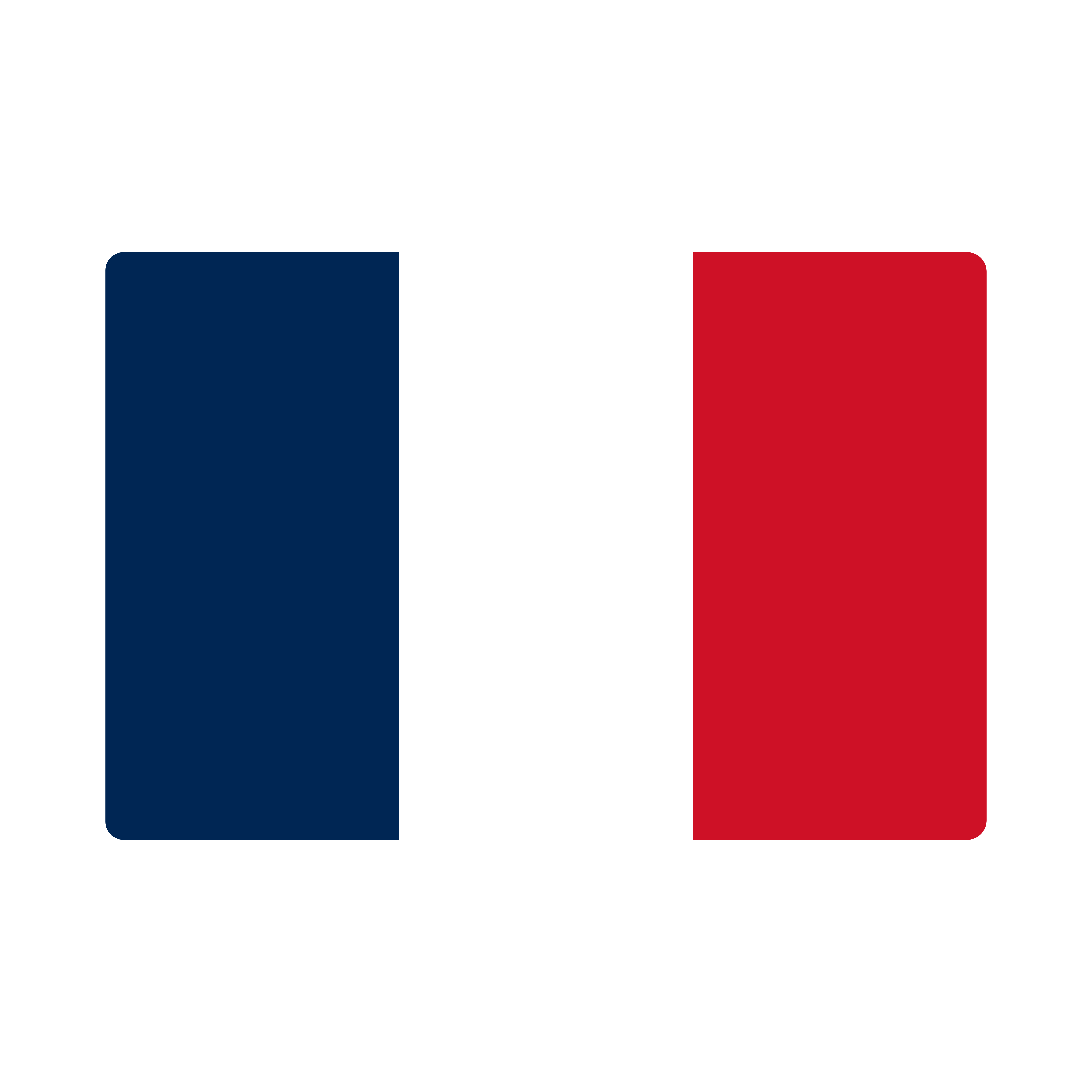 Bandeira France Flag PNG.