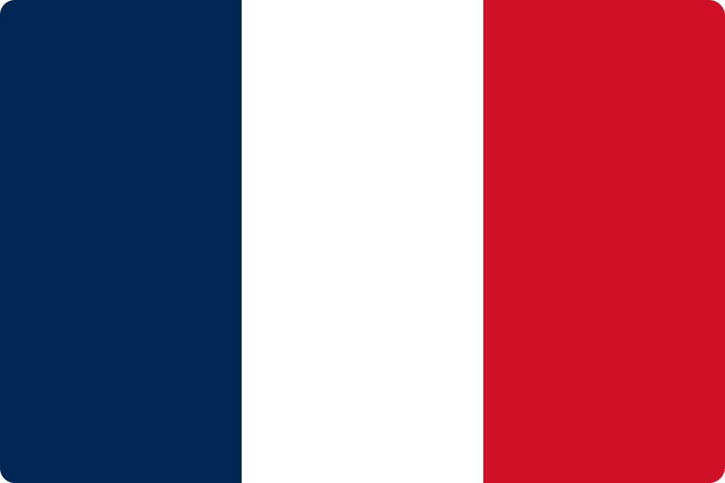 Bandeira France Flag.
