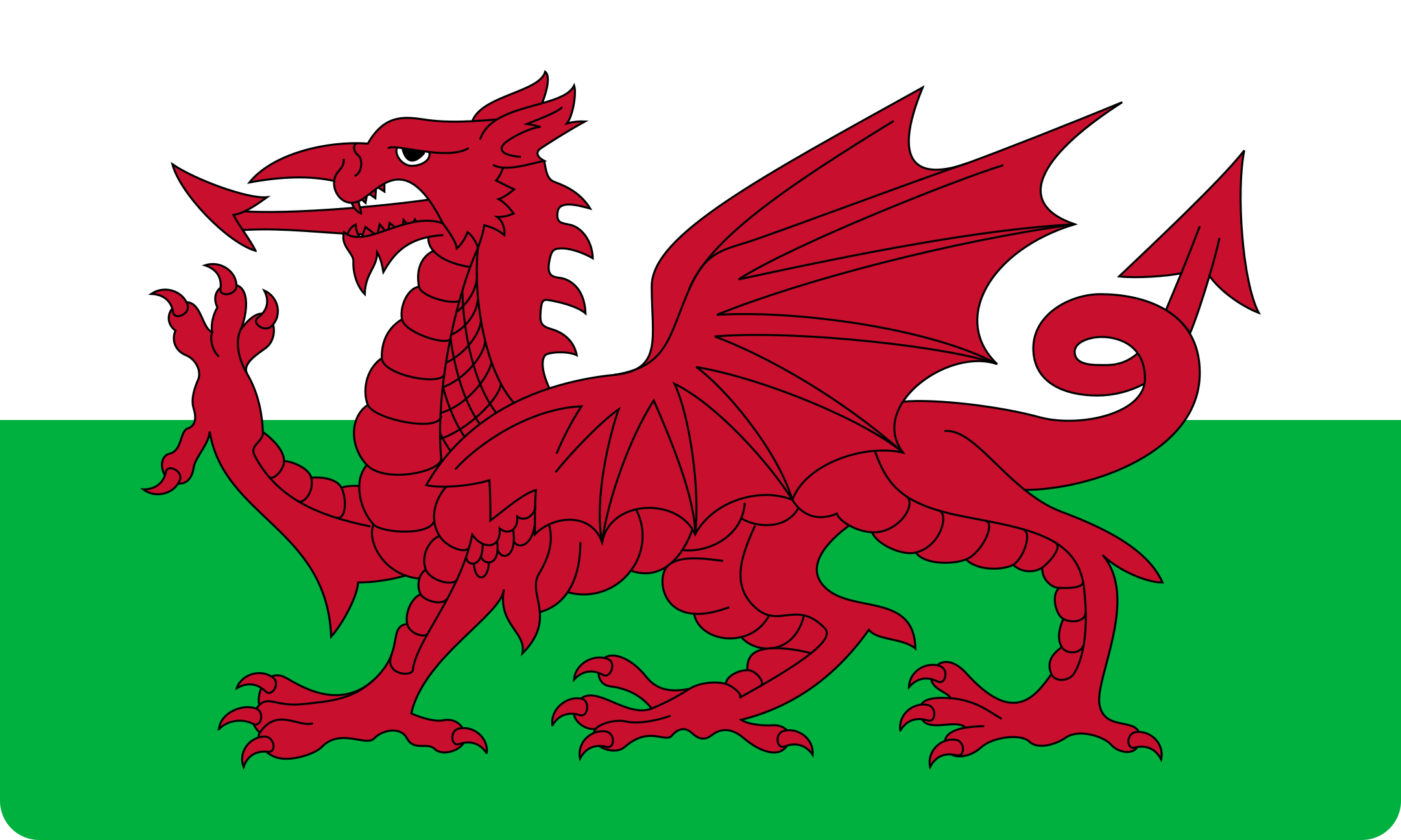 Bandeira Wales Flag.