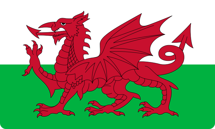 bandeira wales flag 3 - Flag of Wales