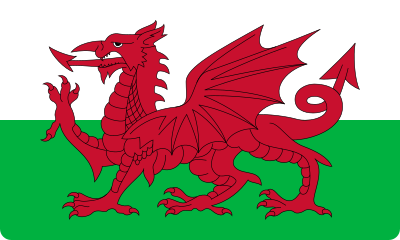 bandeira wales flag 4 - Flag of Wales
