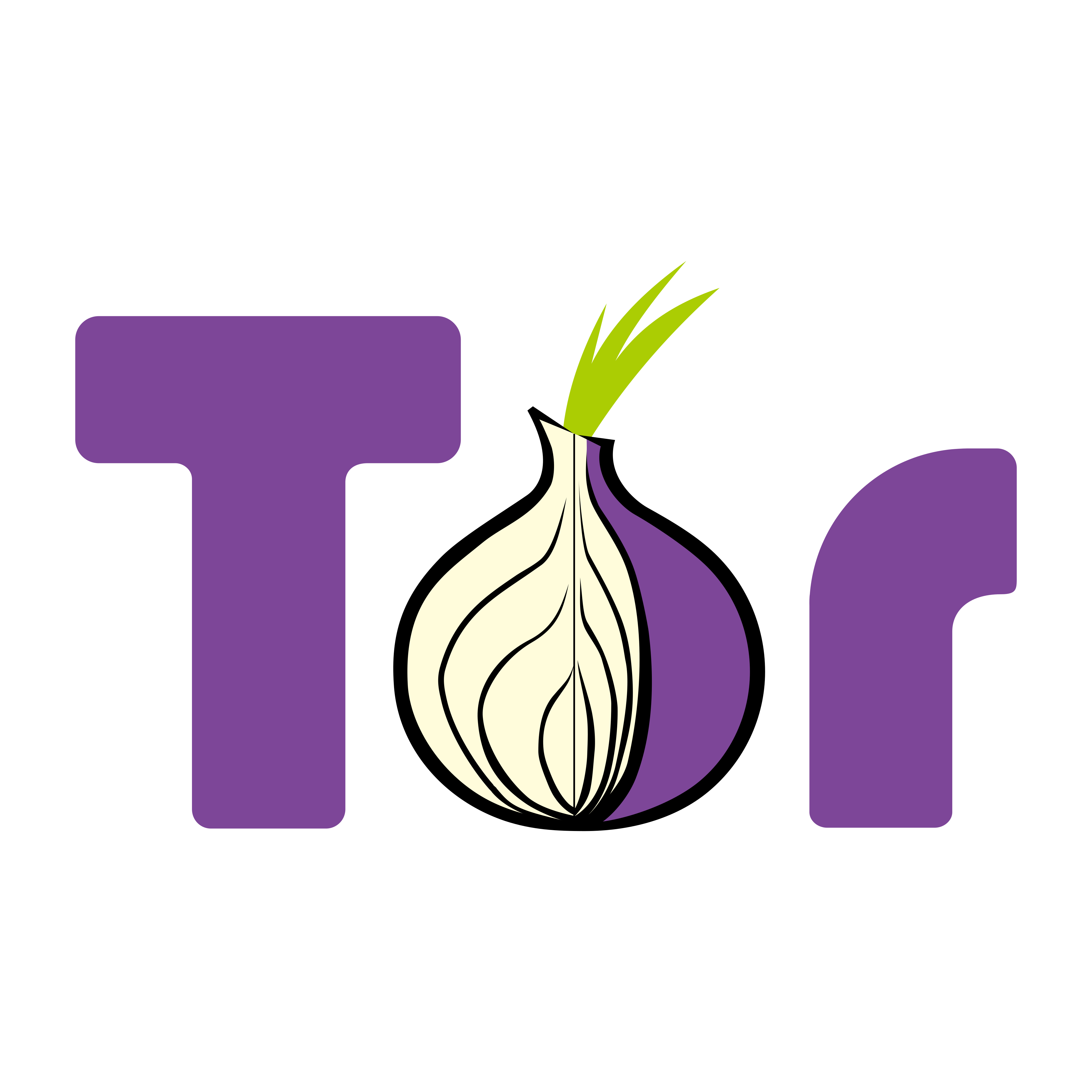 tor logo 0 - TOR Logo