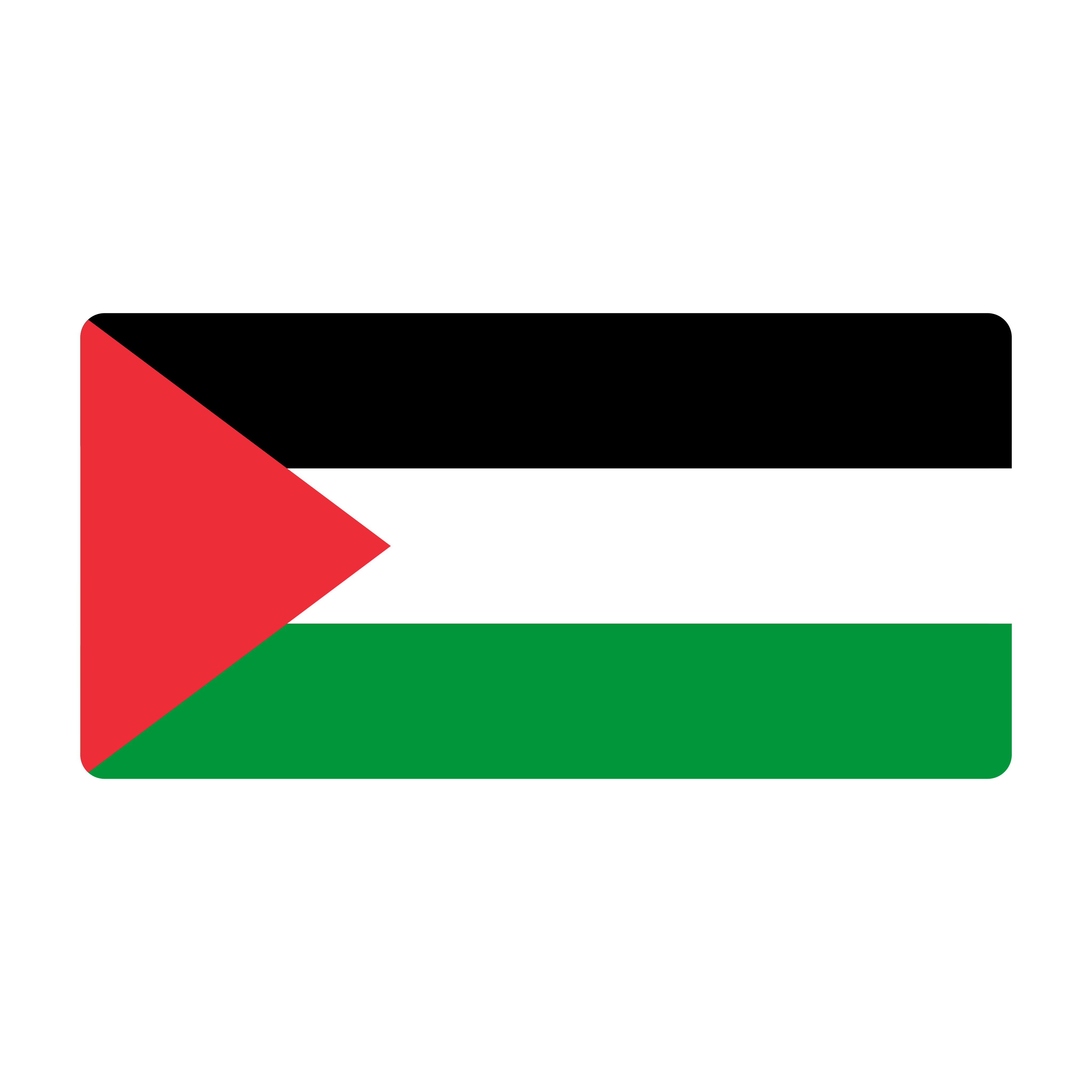 bandeira palestine flag 0 - Drapeau de la Palestine