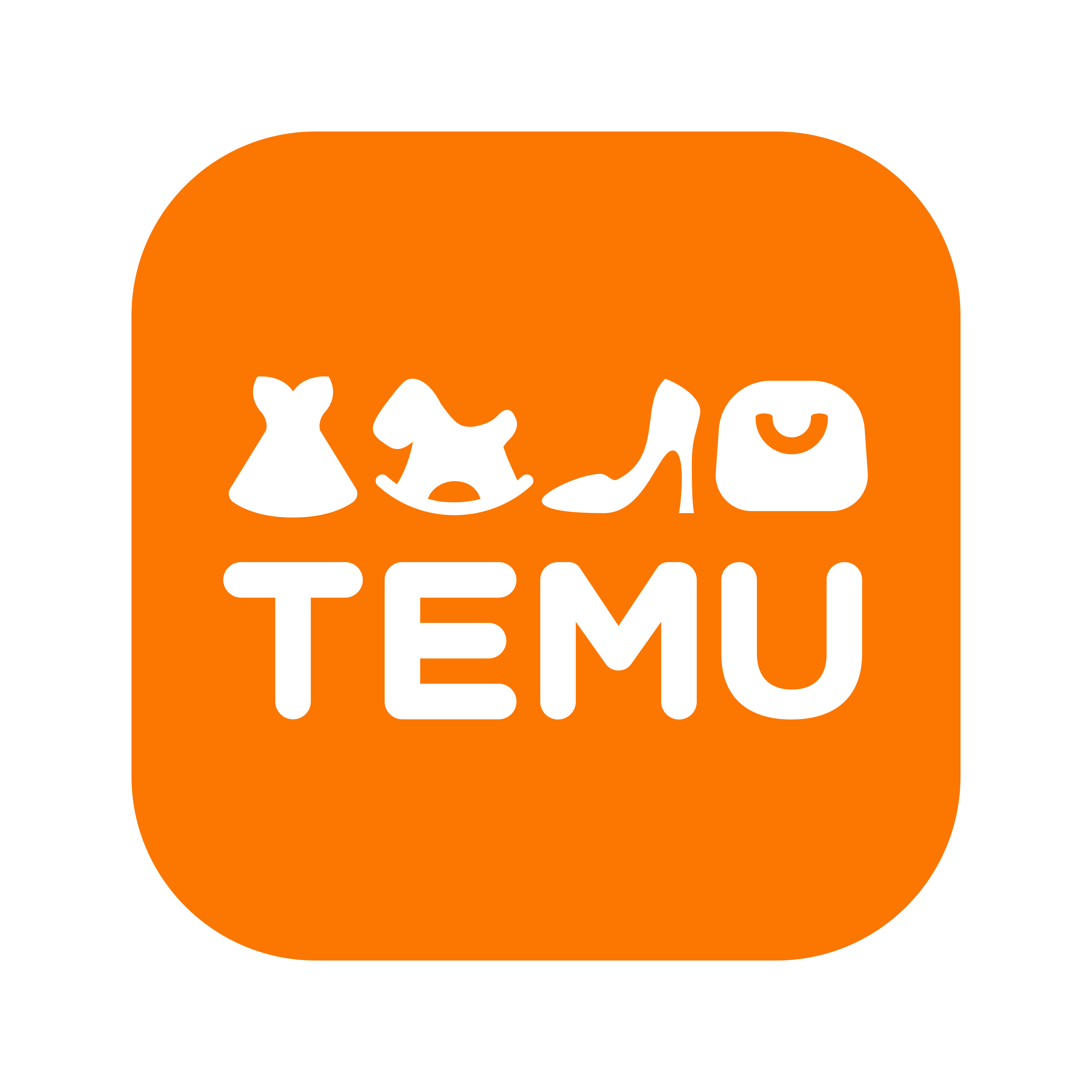 Temu Logo: Design, Meaning, History